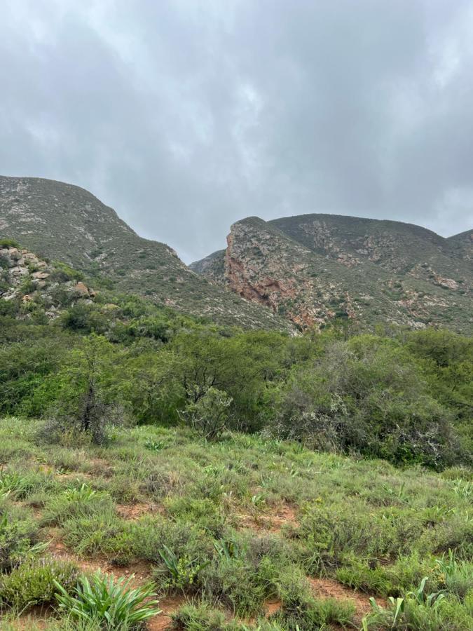 Baviaanskloof Laaste Kamp - Wild Bush Camping Sandvlakte Kültér fotó